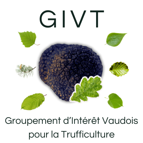 givt logo rond